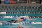 Swim vs Bentley  Wheaton College Swimming & Diving vs Bentley University. - Photo by Keith Nordstrom : Wheaton, Swimming & Diving